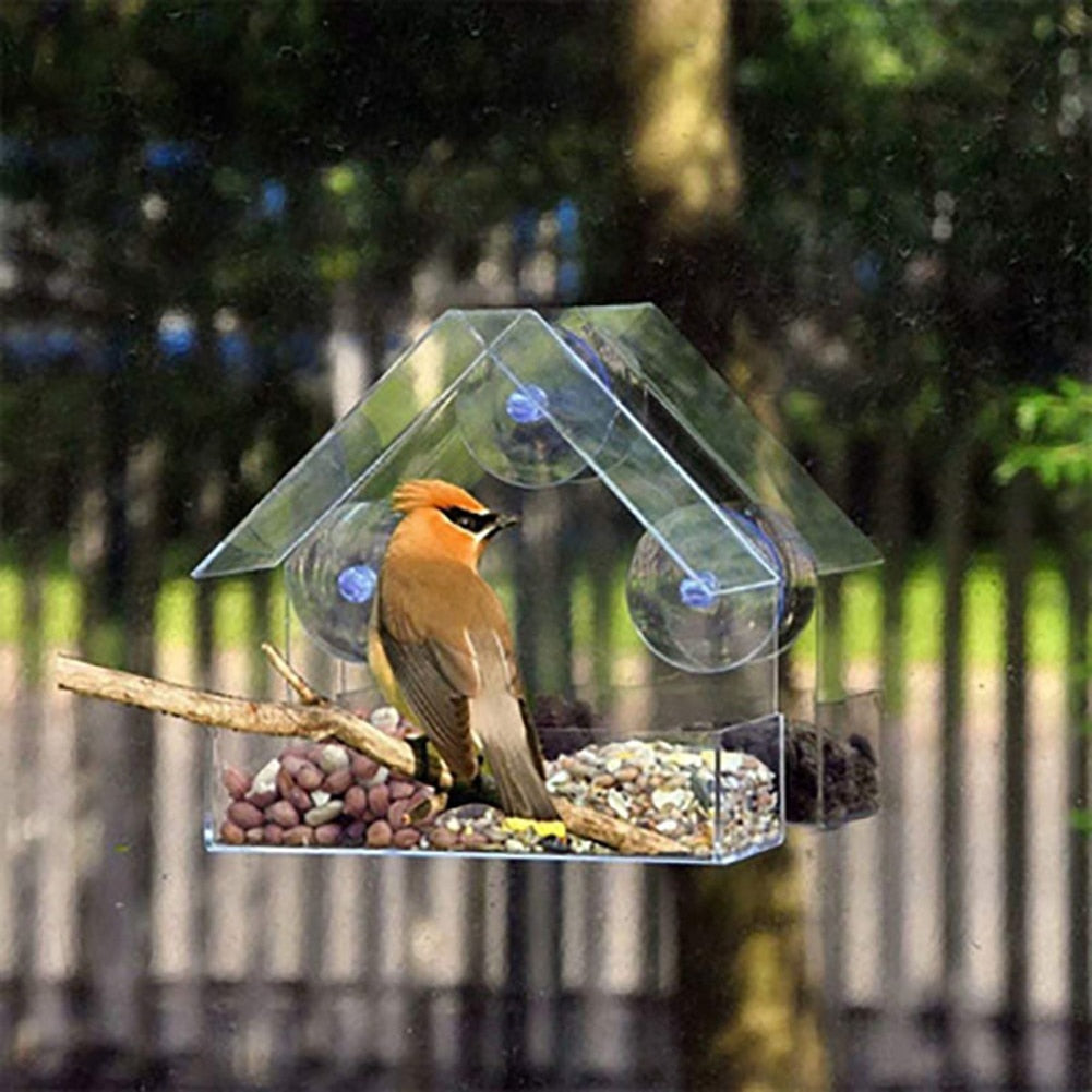 Transparentes Vogelhaus