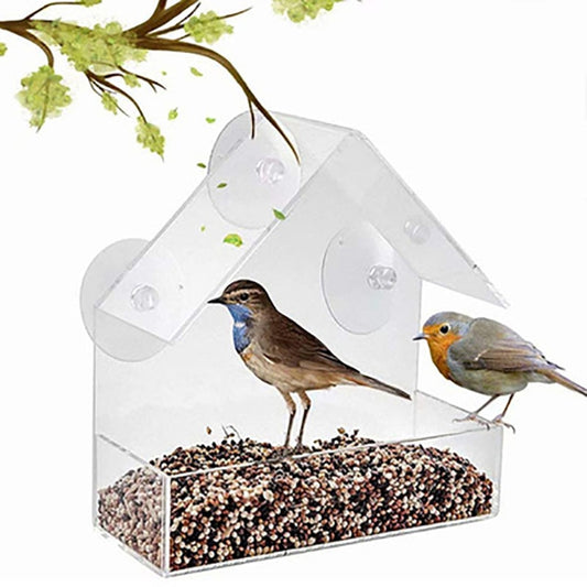 Transparentes Vogelhaus